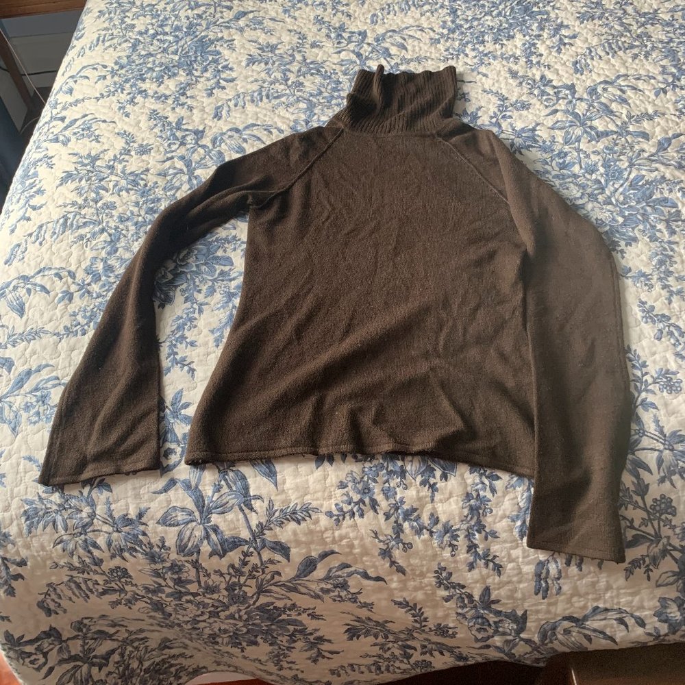 Take Out Brown Turtleneck